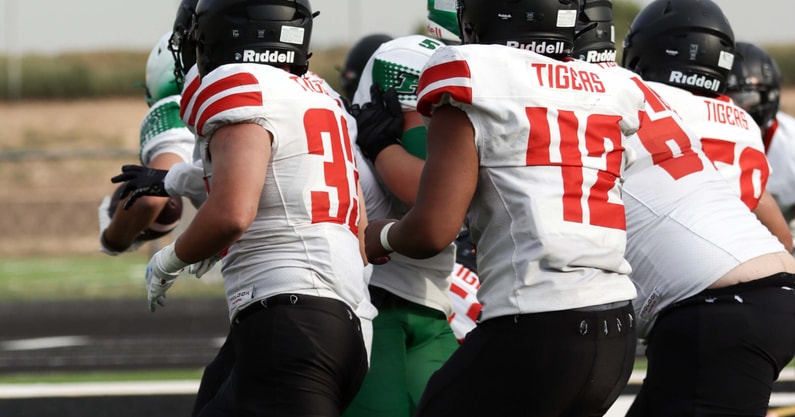 Taos Tigers 2025